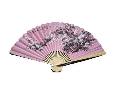 FAN925