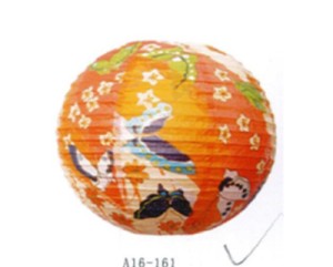 A16161