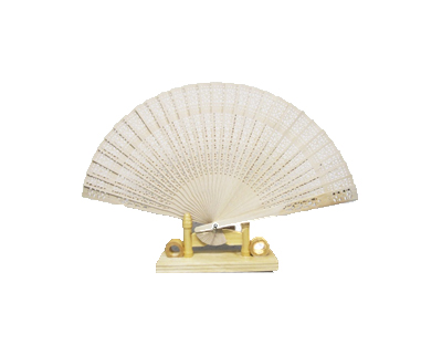 FAN213